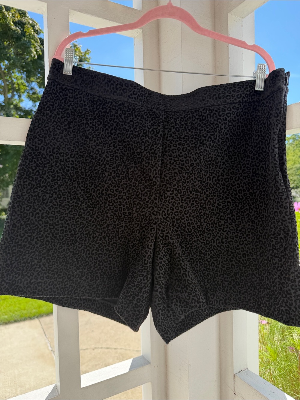 Ann Taylor Sz Black Velvet Leopard High-Rise City Shorts